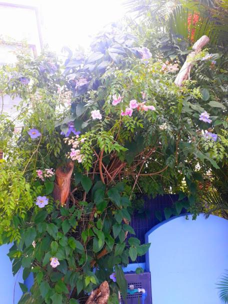 Pousada Los Casarones Florianópolis Екстериор снимка